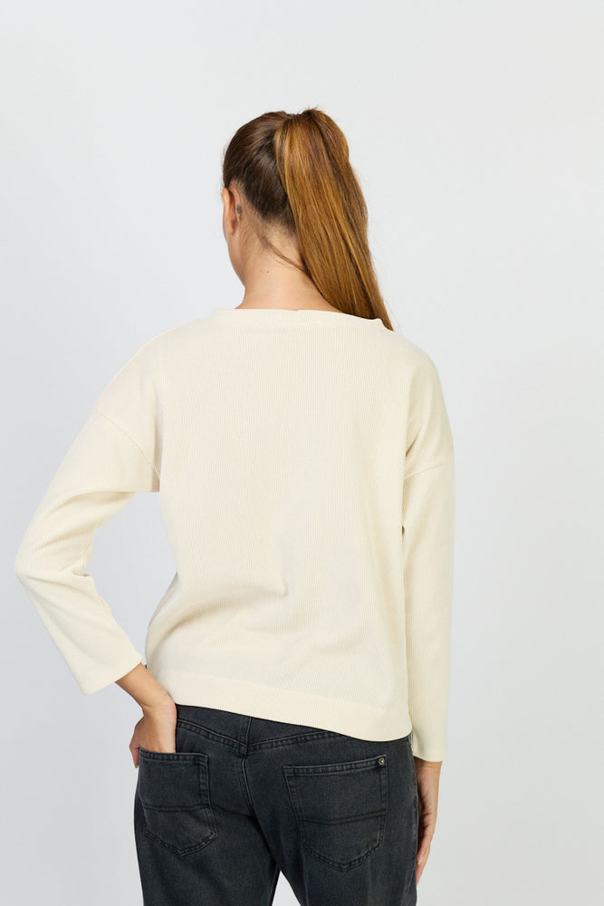 
                      
                        סריג אגוז 49
                      
                    